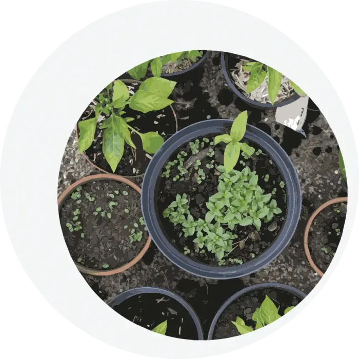 Permaculture in Europe sprouting everywhere