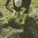 Permaculture Design Course (PDC)