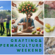 header grafting&permawalk