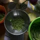 International Permaculture Day Talkoot 2026