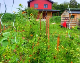 garden house view