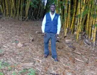 PEACE Foundation Learning from bamboo restoration projects restoring degraded and natural resources. . Learning how to use Bamboo for restoration of degraded land areas. PEACE Foundation received a funding to implement a resotration of degraded areas with support from NED Jaquith Foundation and the American bamboo society to project and restore areas, natural resources and wildlife/biodiversity affected by landslides and flooding in the western margin of Uganda.