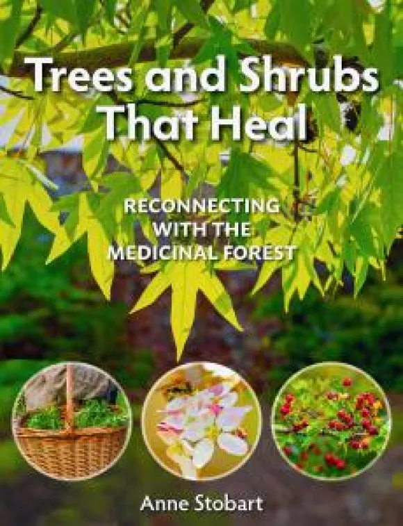 Trees and shrubs that heal book cover