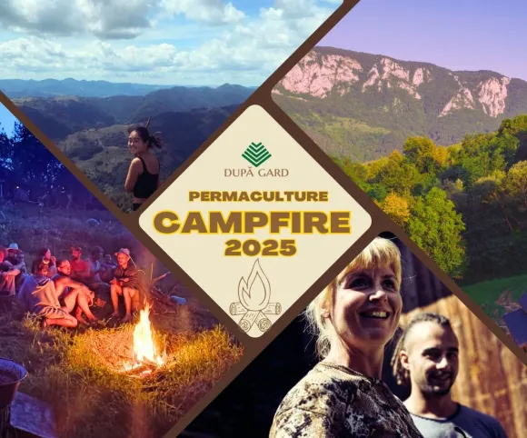transylvania campfire