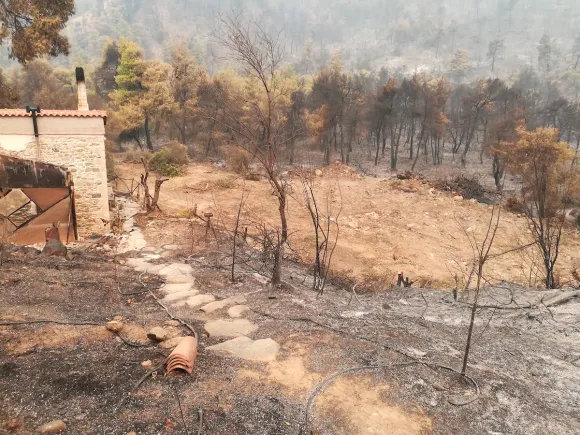 After the fire