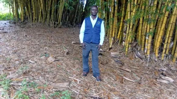 Learning how to use Bamboo for restoration of degraded land areas. PEACE Foundation received a funding to implement a resotration of degraded areas with support from NED Jaquith Foundation and the American bamboo society to project and restore areas, natural resources and wildlife/biodiversity affected by landslides and flooding in the western margin of Uganda. 