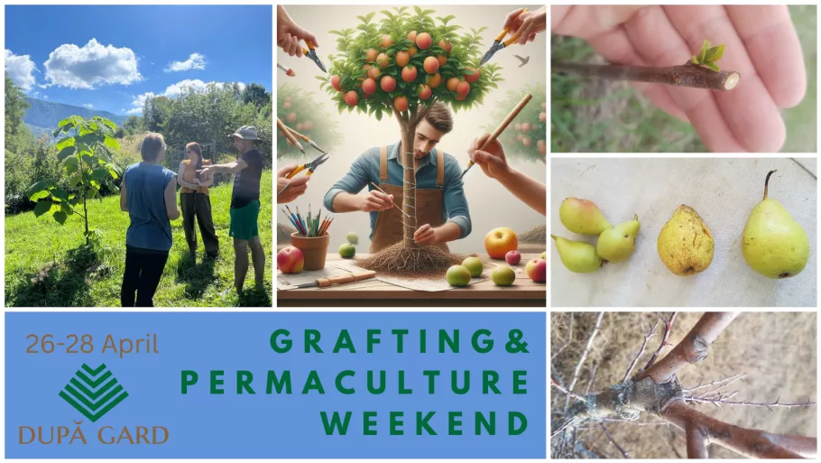 header grafting&permawalk