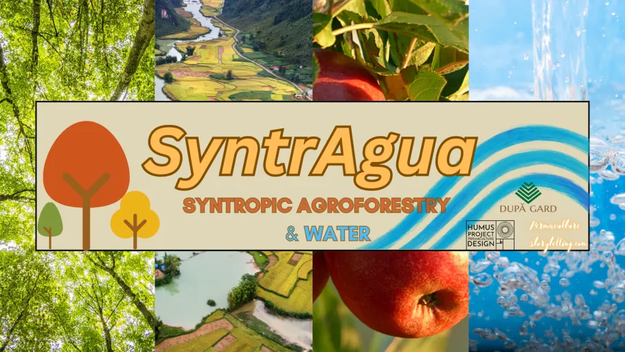 SyntrAgua Header