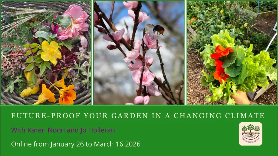 image for course future proof your garden in a changing climate