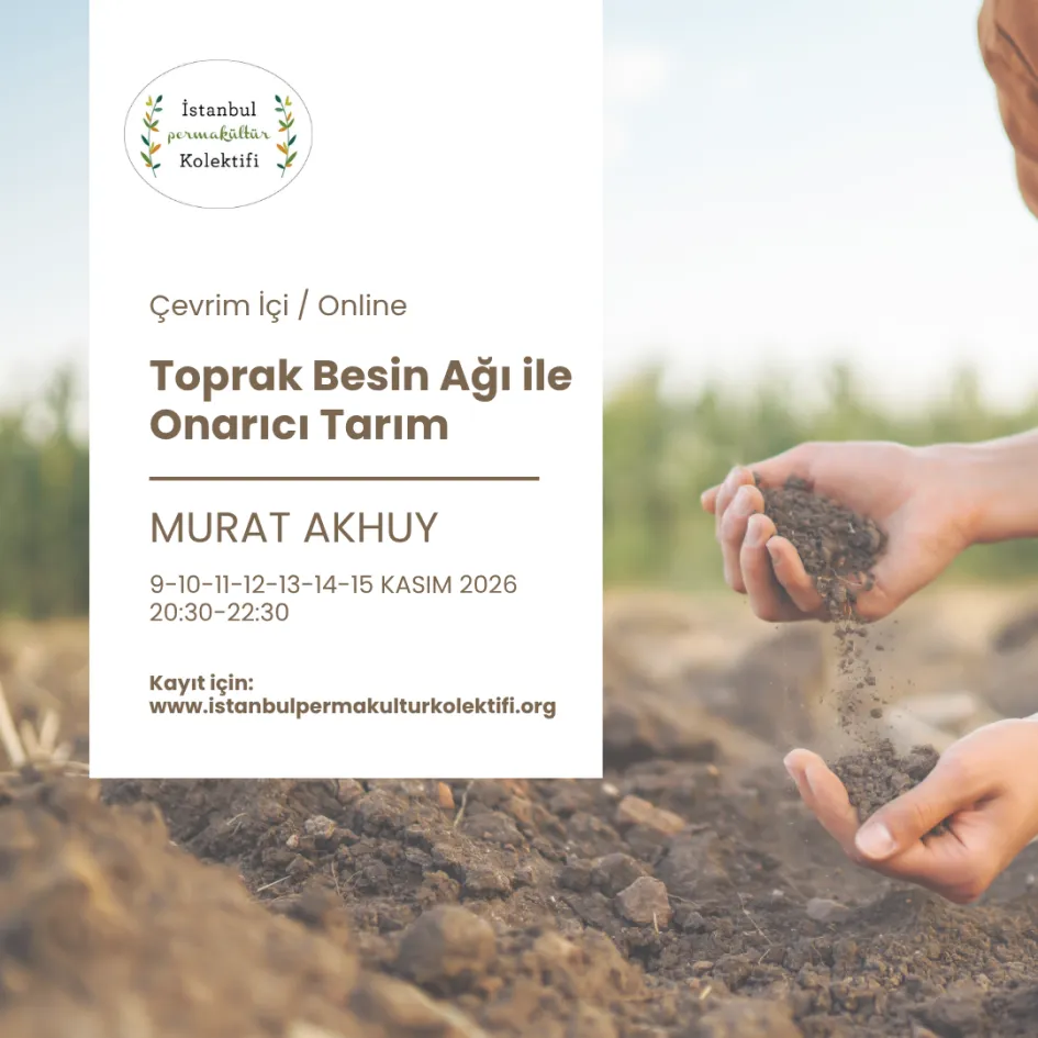 Soil Food Web and Regenerative Agriculture