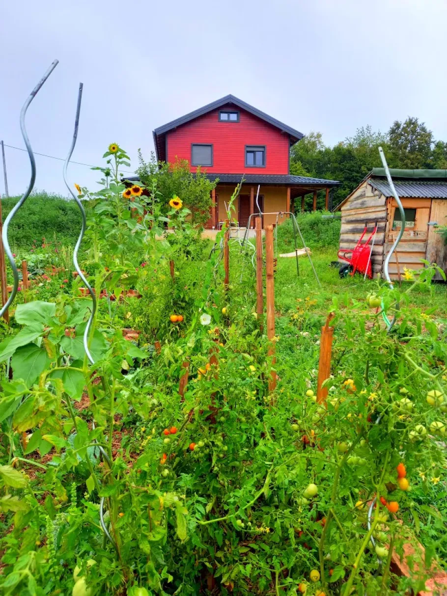 garden house view