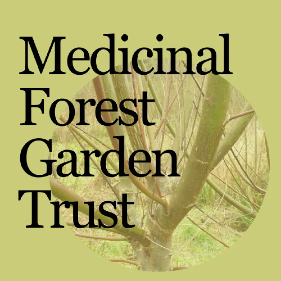 Willow pollard logo of Medicinal Forest Garden Trust