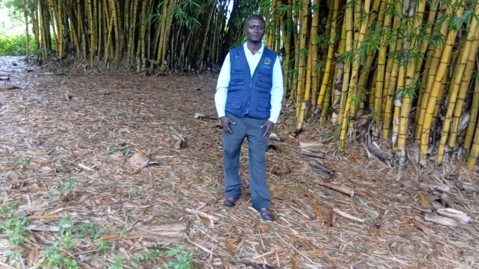 PEACE Foundation Learning from bamboo restoration projects restoring degraded and natural resources. . Learning how to use Bamboo for restoration of degraded land areas. PEACE Foundation received a funding to implement a resotration of degraded areas with support from NED Jaquith Foundation and the American bamboo society to project and restore areas, natural resources and wildlife/biodiversity affected by landslides and flooding in the western margin of Uganda.