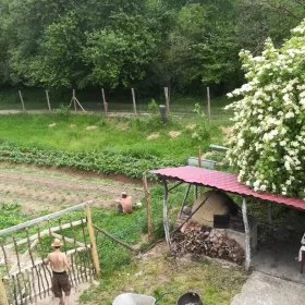 Garden & pizza oven