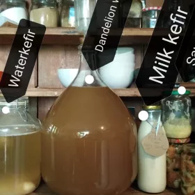 Fermenting