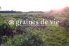 Logo Graines de Vie