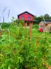 garden house view